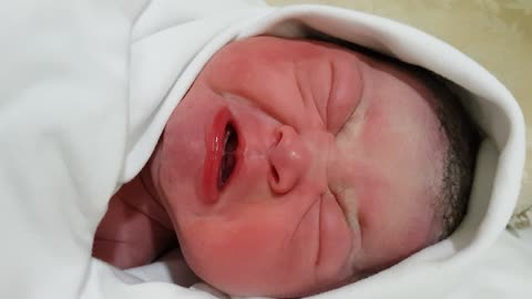 newborn korean baby