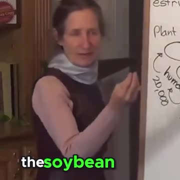 Genetically modified Crops in America