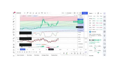 Basics to Investing - Oasis Network ROSE - Stock Charts #097