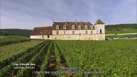 Les trésors des vignobles français4