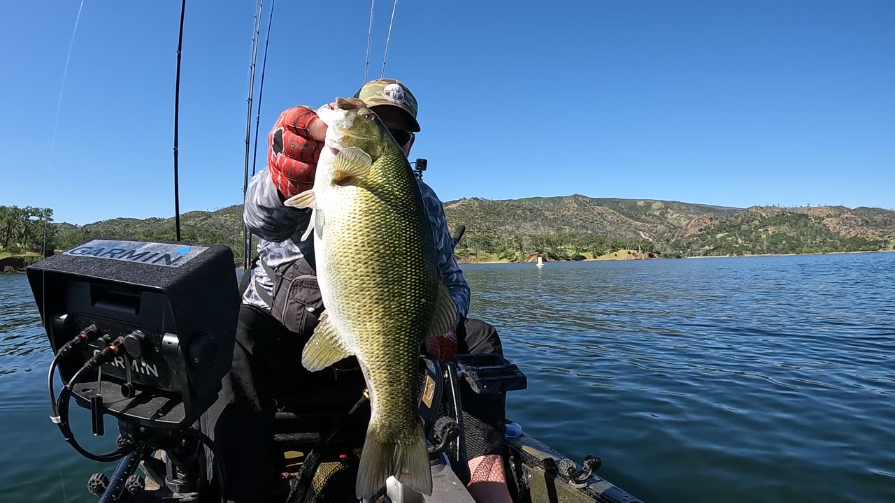 Lake Berryessa smallmouth from the kayak!