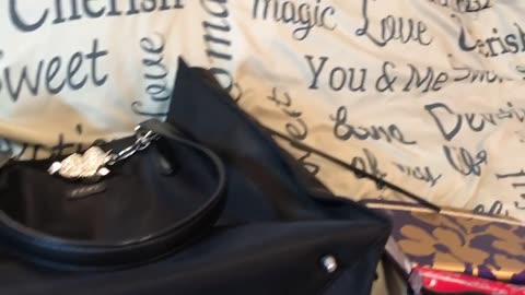 What's in my DKNY tote bag