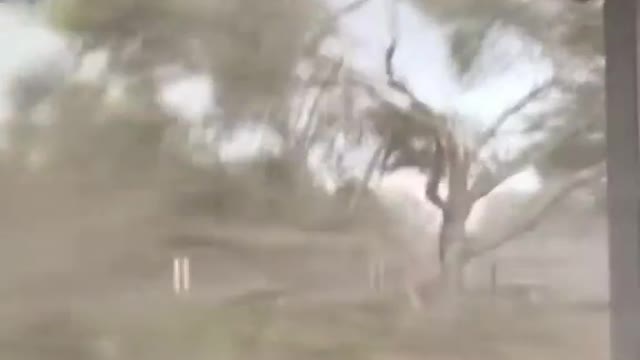 Intense Tornado in Ellabell, Georgia, Tuesday Evening.