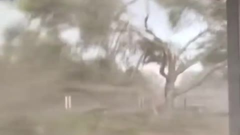 Intense Tornado in Ellabell, Georgia, Tuesday Evening.