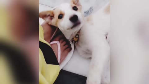 Simmba is mommy's baby 😘😘🥺🥺❤️❤️🐕🐕🐕