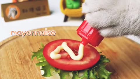 Funny Cats 😹 Cats Cooking Foods Funny Videos | (2021 Trending) Cat TikTok