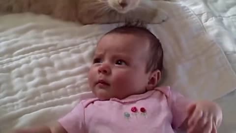 CAT AND BABIES FUNNY VIDEOS