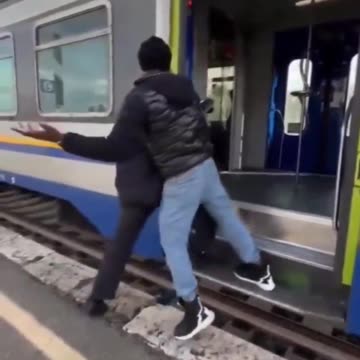 Ticket Inspector in Europe.