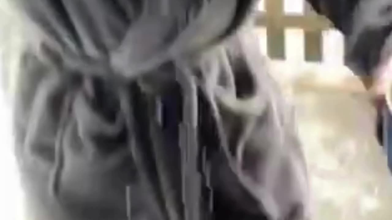 The End 😂😂😂 #viral #shorts #reels #funny #fails #HumorPeriod