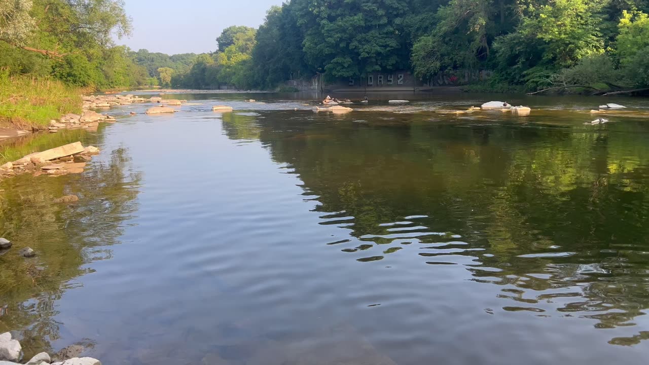 Humber river flow south Etobicoke