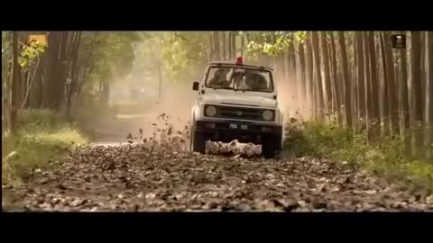clips of movie_360p