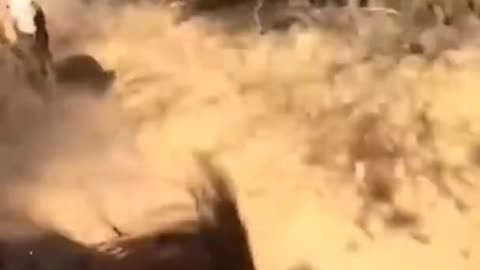 Amazing video