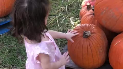 Running through the pumpkin patch
