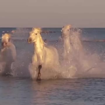 Anti-Loosh Video Number 49. LOOSH is real and bad. Explained below and watch the video!