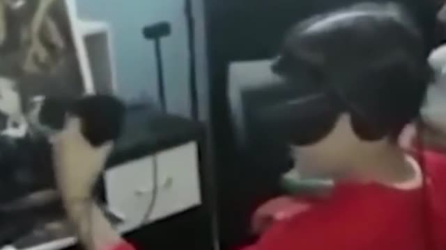 real hit