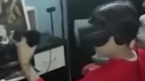 real hit