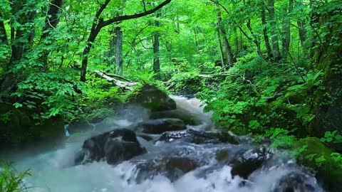 Scenery in the rain