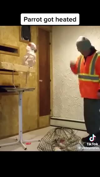 This Bird Is Pissed 🤣🤣🤣🤣🤣🤣🤣