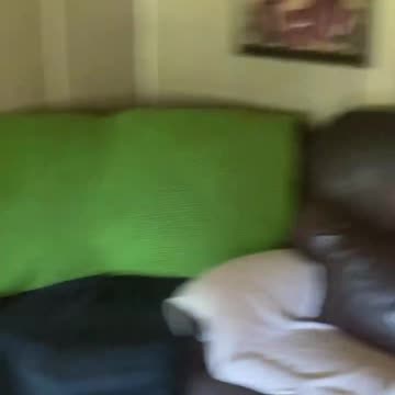 Dagburn Johnny Gobble Need any pain patches