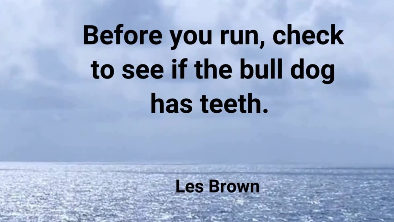 Don't Be Too Cowardly. Don't Run At The First Bark.