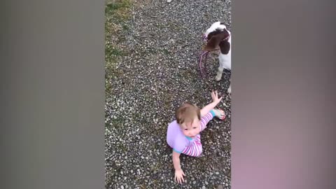 TRY NOT TO LAUGH _ Funny Weekend At The Zoo - LAUGH TRIGGER)
