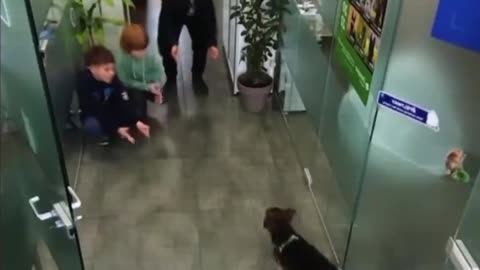 A boy whose dog got sick takes him to the vet with his friends.