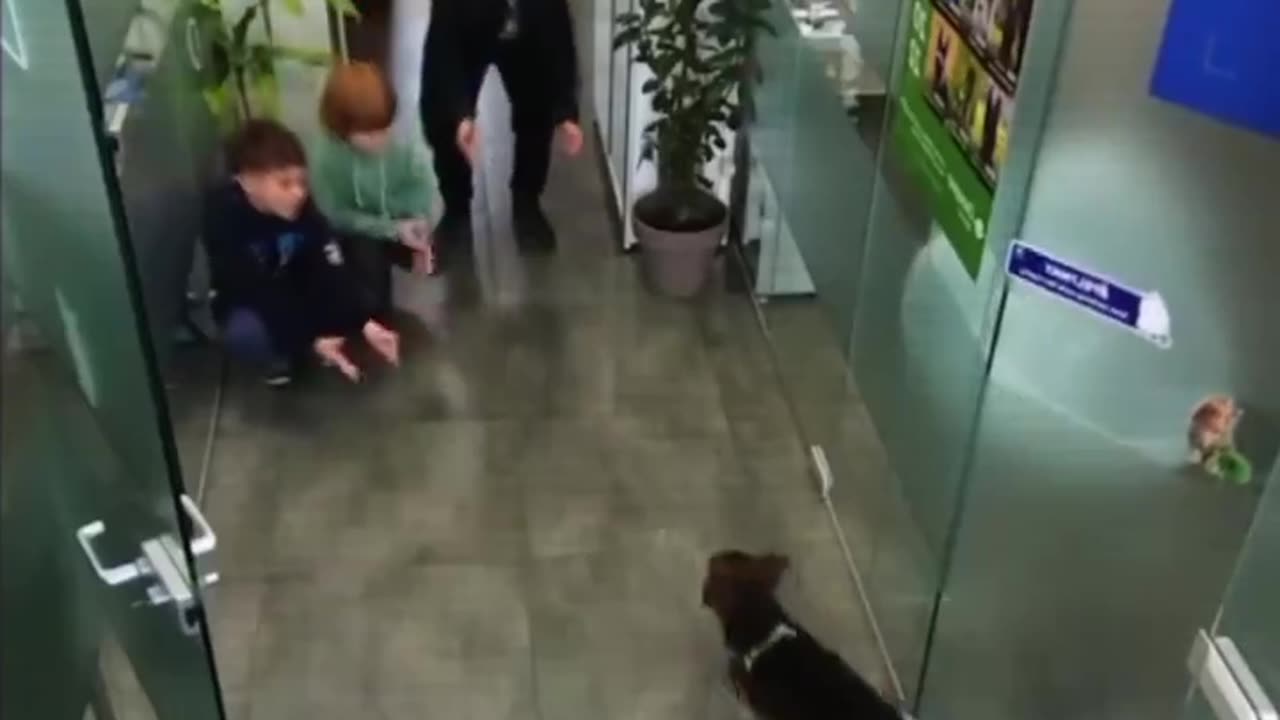 A boy whose dog got sick takes him to the vet with his friends.