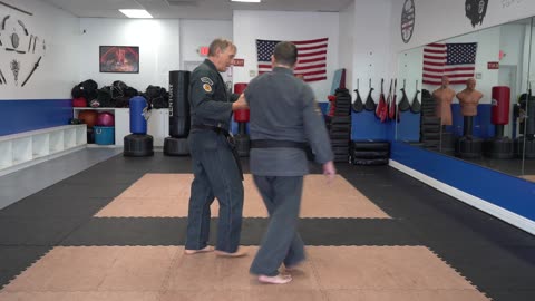 Correcting common errors executing the American Kenpo technique Captured Leaves
