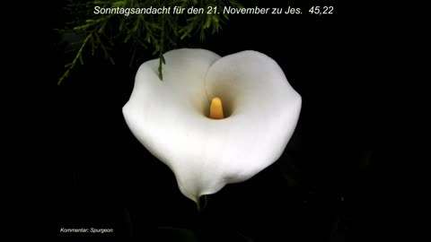 Sonntagsandacht für den 21. November zu Jes. 45,22