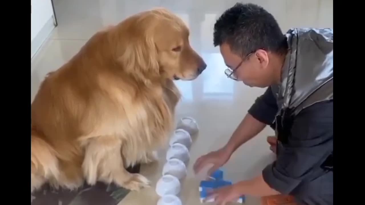 Talent