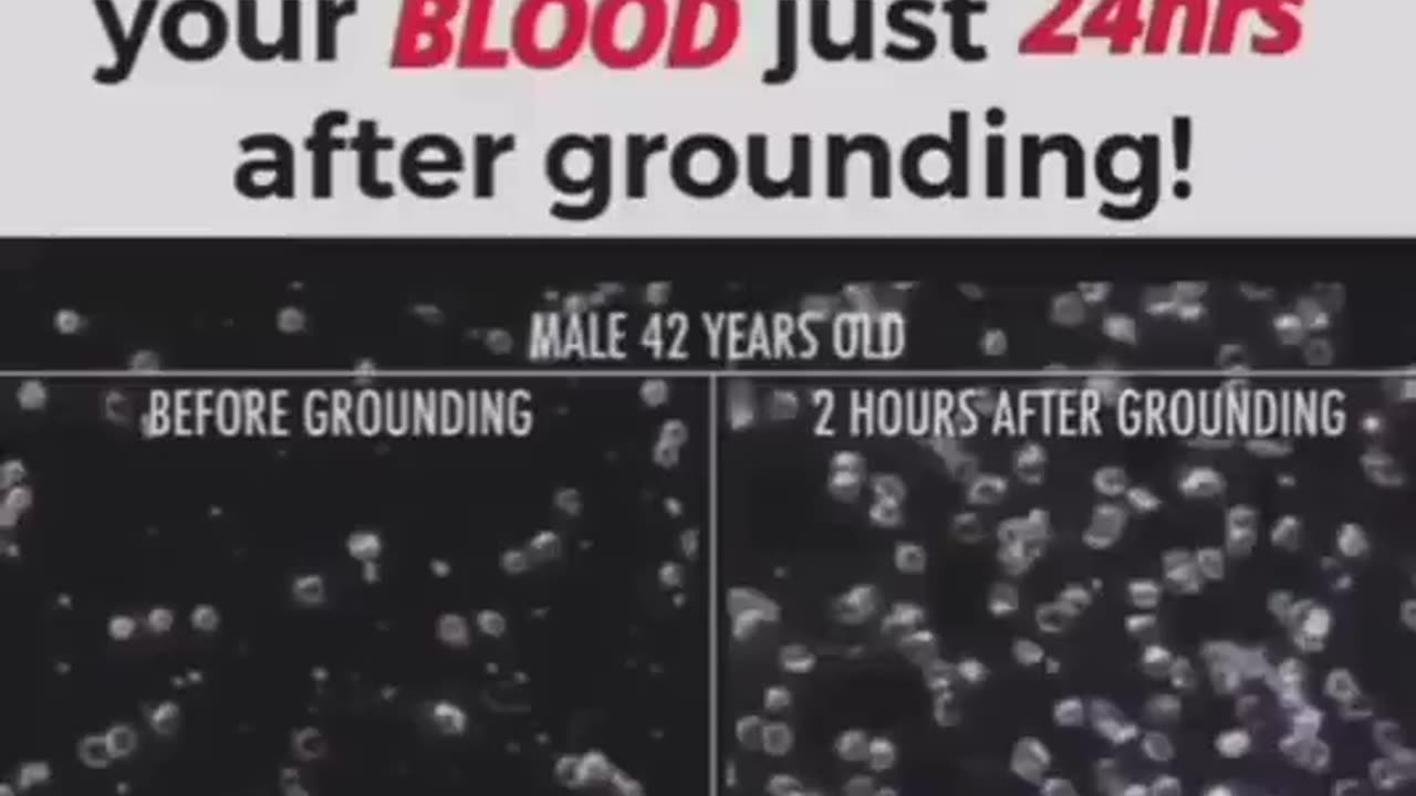 Look at the difference grounding can make in your blood in just 24 hours