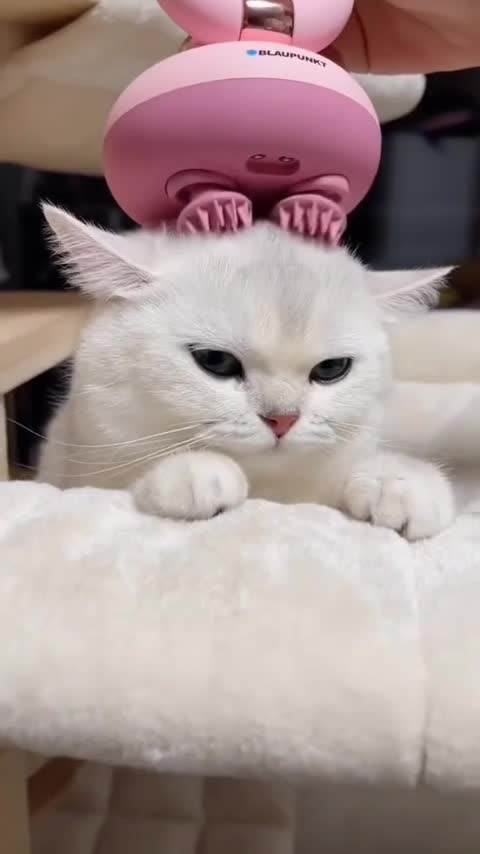 After the whole days working