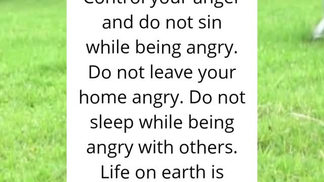This Beautiful God message Change your life Today