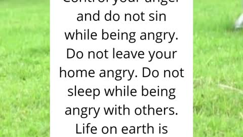 This Beautiful God message Change your life Today
