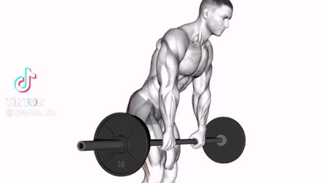 Full Body Barbell Workout