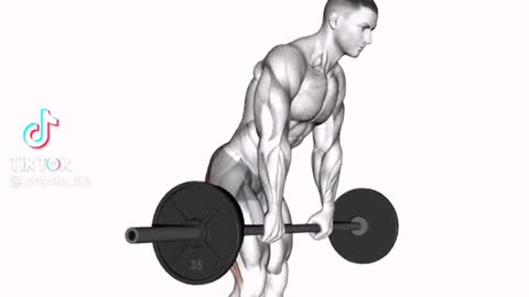 Full Body Barbell Workout