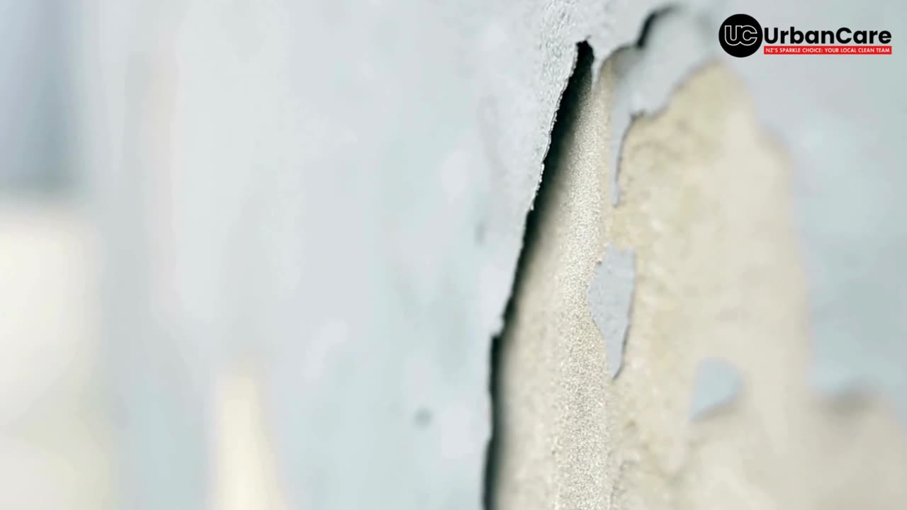 How to Remove Mould Before Painting | Quick Step-by-Step Guide | Urban Care