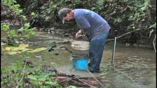 VA Gold On the Creek Tongue Quarter Creek Aug 2008 1