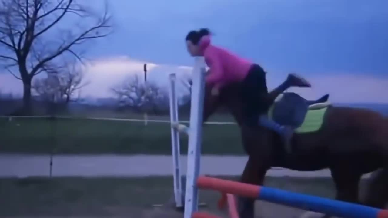 Funny Fun Horse Fails