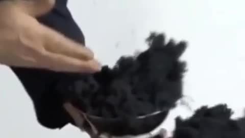 Is it a miracle of nature or a killer in disguise!?