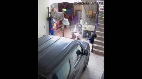 Funny Dogs And Cats Video