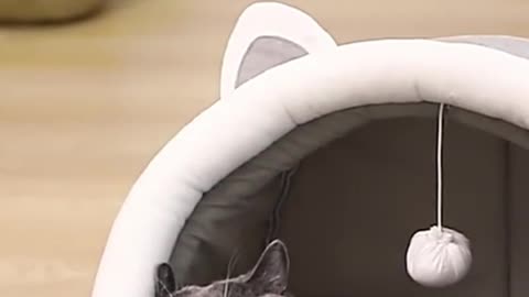 Adorable Ultra-Soft Cat Cave Bed