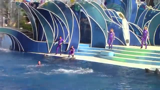 Dolfin best new illusion perfact performance