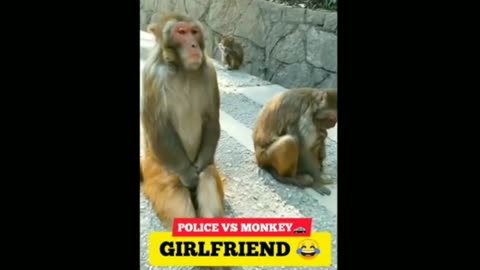 Monkey😁🤣😂 funny dubbing video -- 🤣🤣😂😅🥰_ Mini Dubs(360P).