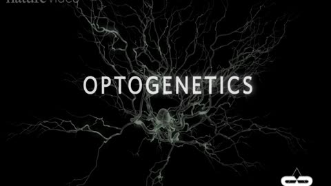 Optogenetics and the Secret Worldwide Nanotech Experiment