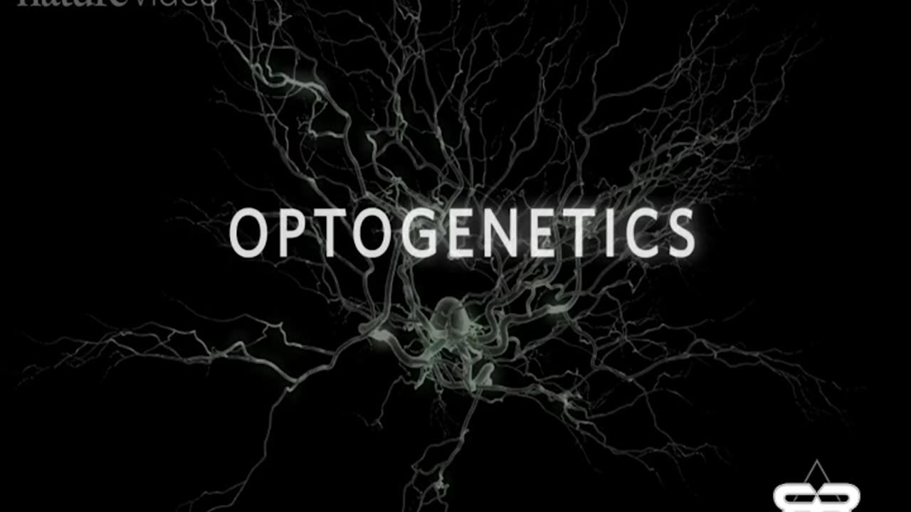 Optogenetics and the Secret Worldwide Nanotech Experiment