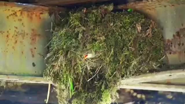 Time with God - December 15