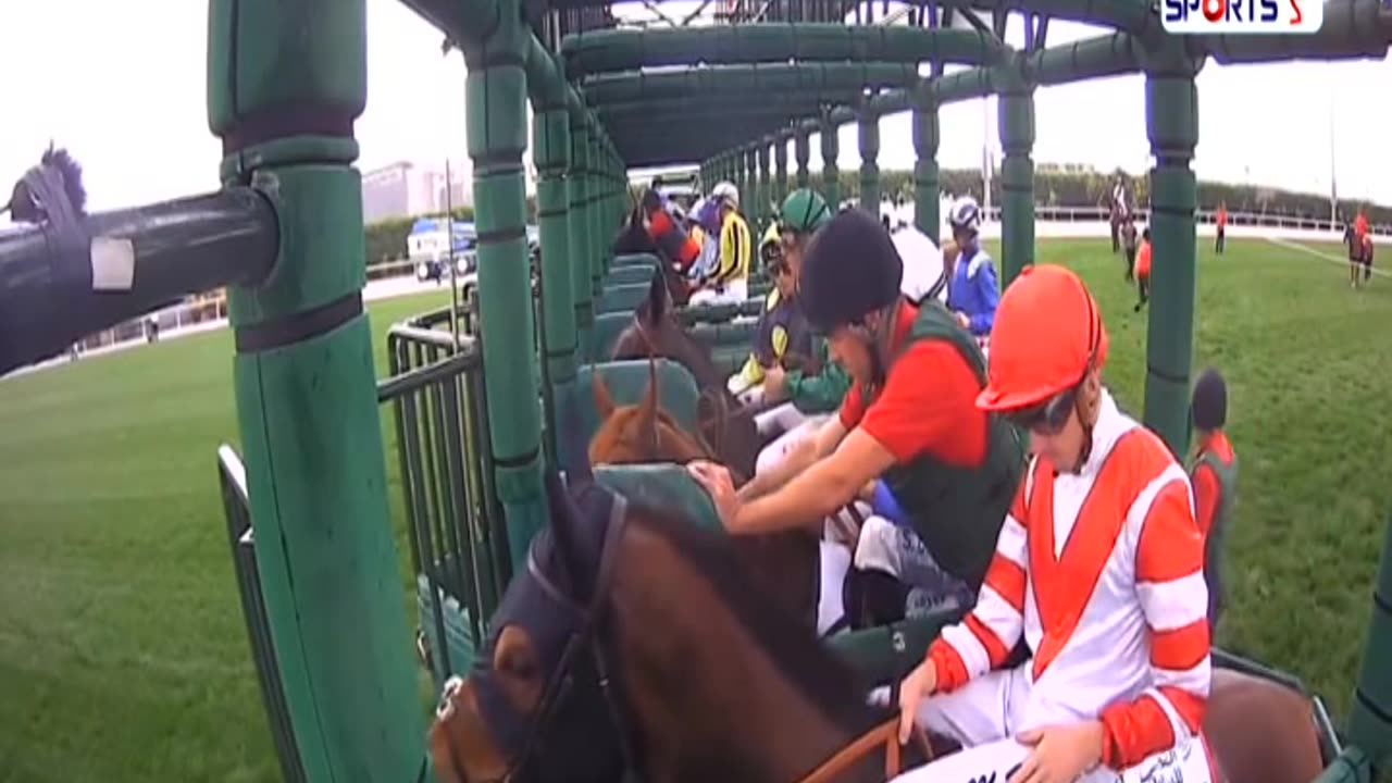 World Horse Racing