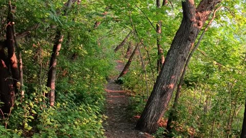 Sunset Hike @ the Mississippi River