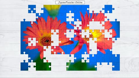 Gerbera Jigsaw Puzzle Online